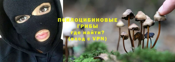 соль курить ск Ельня