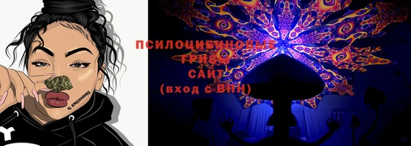 спайс Елизово