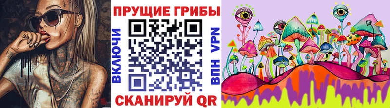 Купить где  Инсар  Галлюциногенные грибы Psilocybe 